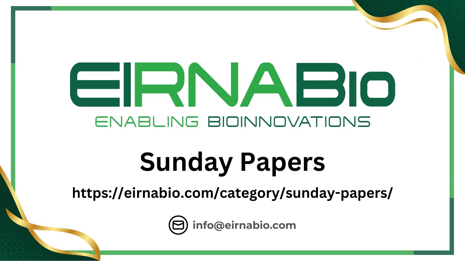 EIRNABio's tweet card. Our Sunday Papers featuring new insights into cancer immunity, and circRNA-encoded peptides shaping immune evasion and therapy response.