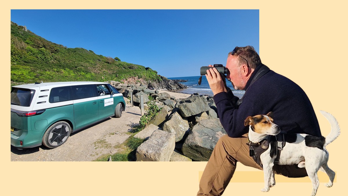 EssexEVs's tweet card. It’s green, it’s eco-friendly … and it can take up to six hours to charge, as Chris Haslam discovered. The road trip revolution is still a long way off