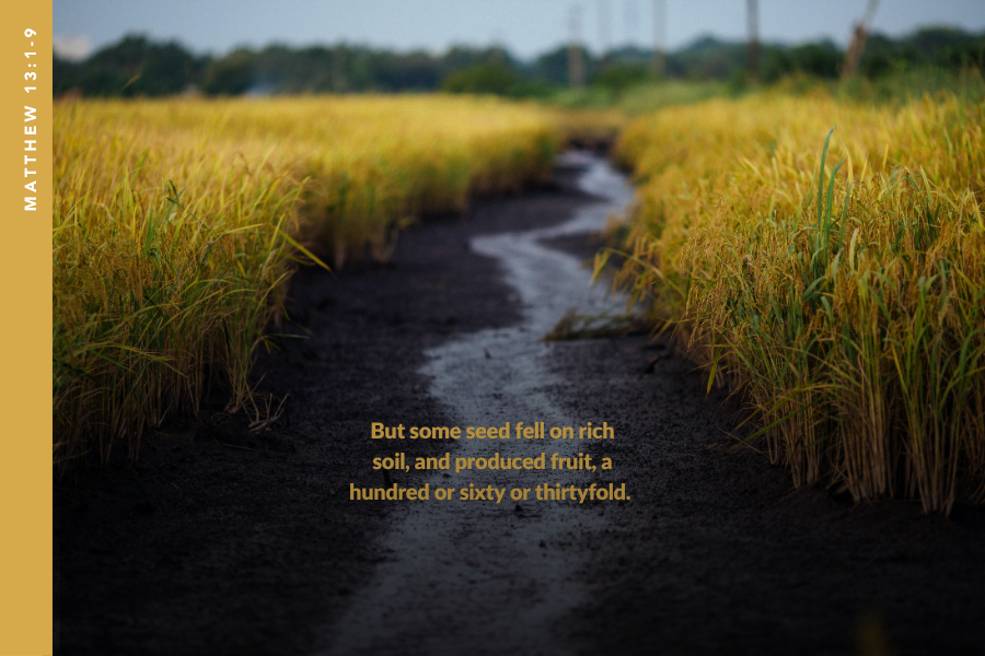 MacroView_Jake's tweet card. Listen to the audio version July 23, 2025 – The Soil of My Life | RSS.com Wednesday of the Sixteenth Week in Ordinary Time   Matthew 13:1-9 On that day, […]