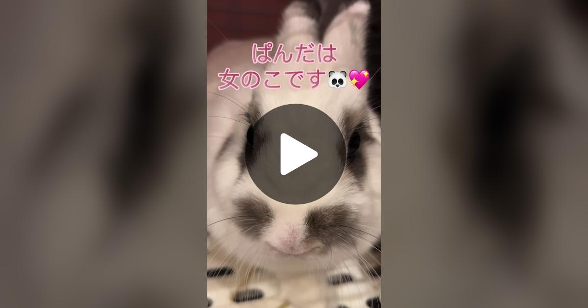 rara800825's tweet card. 「いいね」が135件、コメントが55件。「ぱんだ🐼💖モフ♪」