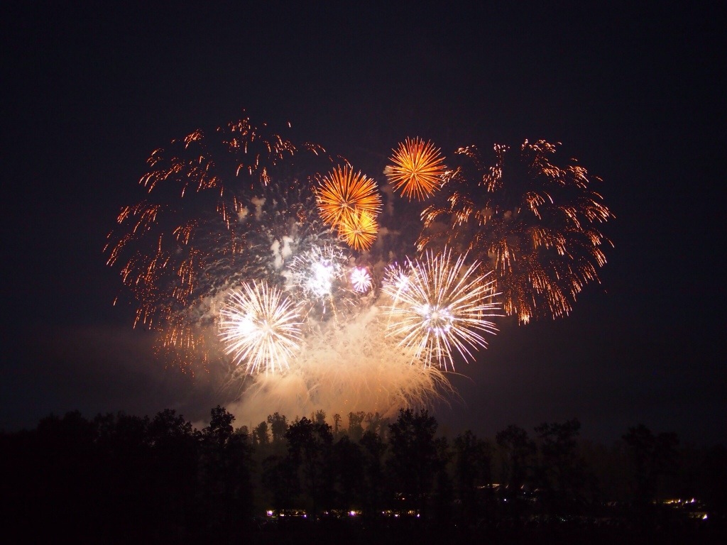 scouting's tweet card. Remember that setting off fireworks is unauthorized in the Boy Scouts of America, except when the display is conducted by licensed experts.