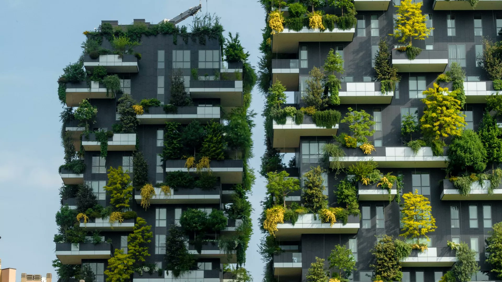 FrontSustain's tweet card. The relationship between humans and nature in urban areas is complex, with dynamic interdependencies that require in-depth evaluation to aid planners in deci...