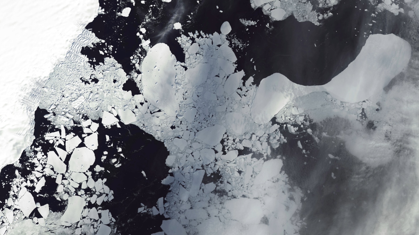 OceanIPSO's tweet card. The Conger Ice Shelf disintegrated in 2022. Satellite data leading up to the collapse hint at worrying changes in a supposedly stable ice sheet.