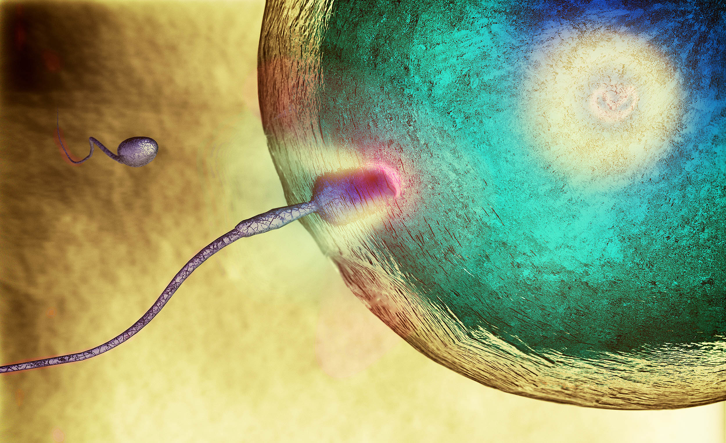 EarthDotCom's tweet card. Sperm are such great swimmers because of a slender flagellum that ripples like a living whip, trading brute force for rhythmic finesse.