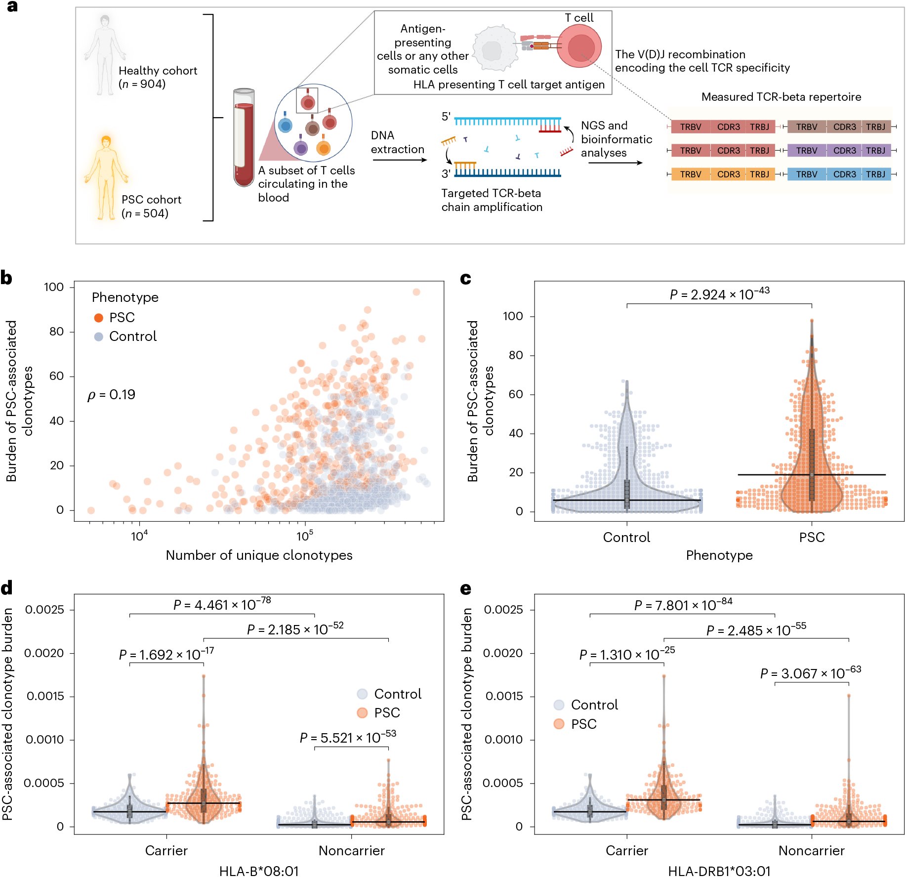 tomhemmingk's tweet card. Nature Medicine - Interrogation of electronic health records and the B and T cell repertoires of people with PSC shows a link between Epstein–Barr virus and primary sclerosing...