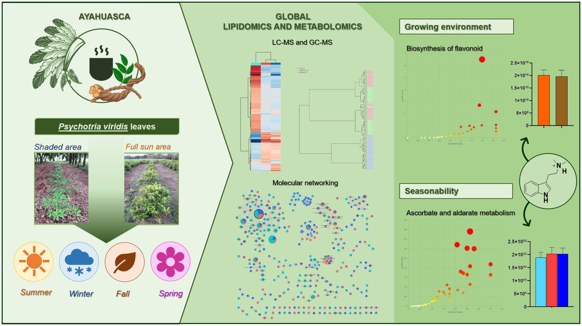 ThePlantJournal's tweet card. The metabolic pathways presenting significant variation in response to seasonality were associated with energy production through the biosynthesis and consumption of carbohydrates. In contrast, the...