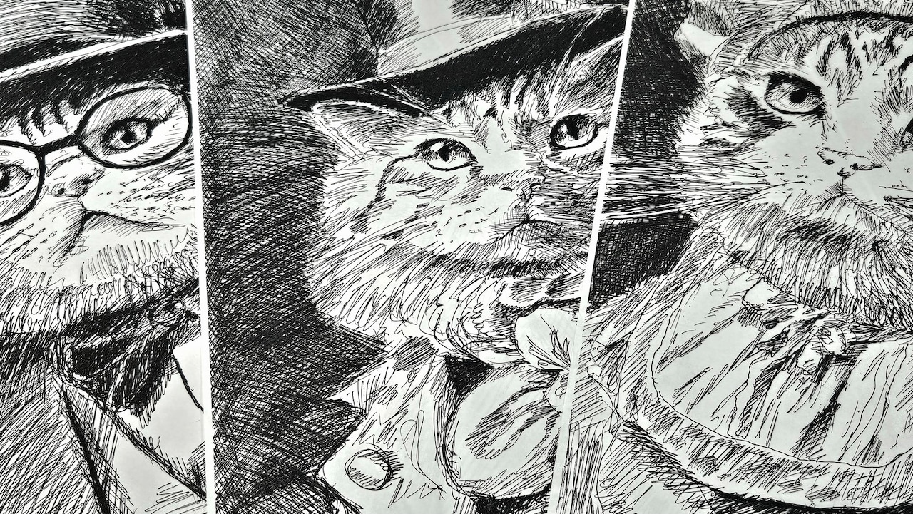 masslivenews's tweet card. Westfield On Weekends has announced its summer exhibit “Great Dogs & Cool Cats of Summer” will open on Aug.1 at the WOW Center in downtown and this year’s exhibition will include, like last year, a...