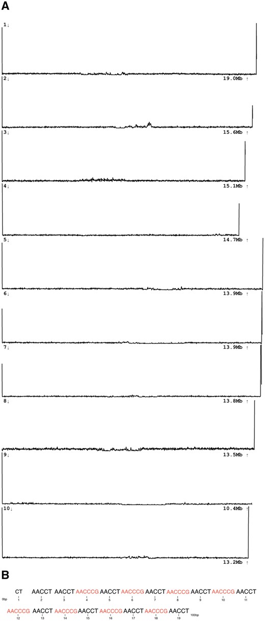 Euphrasiologist's tweet card. AbstractSummary. “tidk” (short for telomere identification toolkit) uses a simple, fast algorithm to scan long DNA reads for the presence of short tandemly