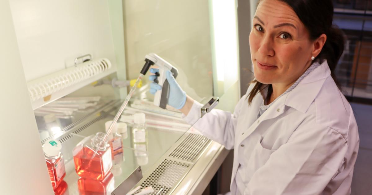 helsinkiuni's tweet card. For the first time, placental genes were studied to explore how Assisted Reproductive Technology (ART) affects a child’s development. Differences showed up between pregnancies from frozen and fresh...