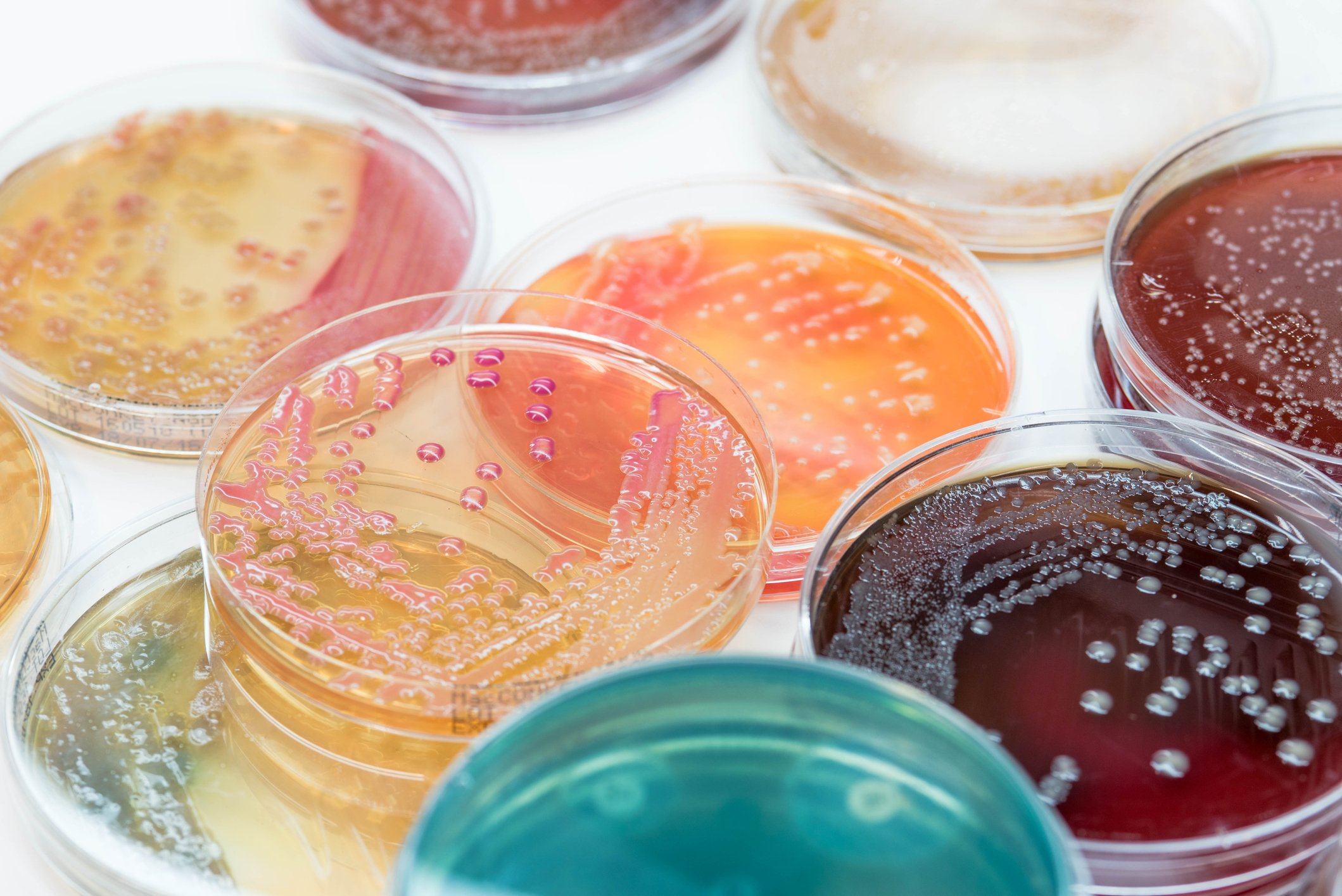 mark_blaskovich's tweet card. Storied Japanese pharma Shionogi is upping its arsenal in the fight against antibiotic resistance. | Storied Japanese pharma Shionogi is upping its arsenal in the fight against antibiotic resistance....