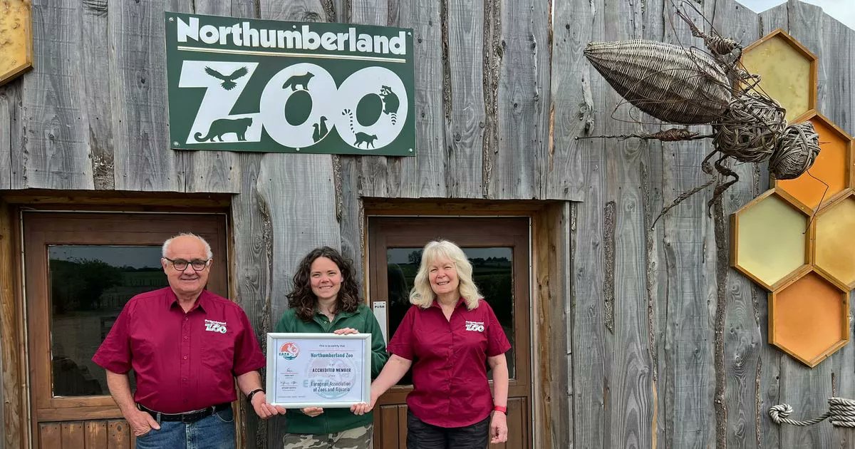ChronicleLive's tweet card. The zoo opened in June 2015 with chickens, donkeys, goats raccoons and meerkats but is now home to snow leopards and rare Livingstone's fruit bats