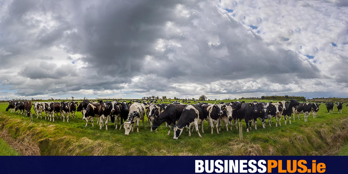 MariaWalshEU's tweet card. A major overhaul of how EU funding is distributed could see the end of the Common Agricultural Policy (CAP) as a standalone financial framework, sparking serious concern among Irish farmers and...