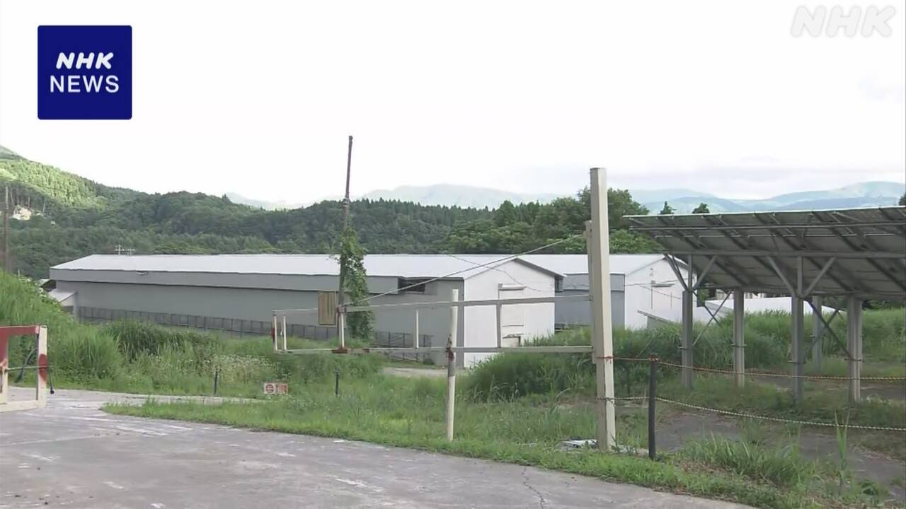 nhk_news's tweet card. 【NHK】22日、青森県黒石市にある養鶏場でニワトリ40羽余りが死んでいるのが見つかり、市は鶏舎の中にクマのものとみられるふんが落…