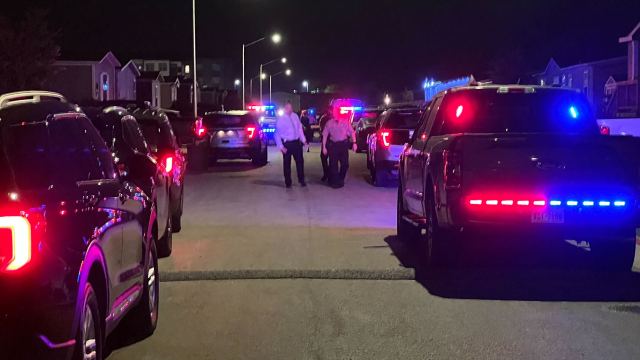 KXAN_News's tweet card. The Travis County Sheriff’s Office said Wednesday morning that it is investigating a shooting that occurred in the 8100 block of Dalmatian Lane, according to a social media post.