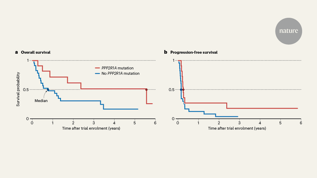 NatureNV's tweet card. Nature - Women with a rare type of ovarian cancer have prolonged survival after receiving immune-checkpoint blockade if their tumour cells carry a mutation in the gene PPP2R1A.