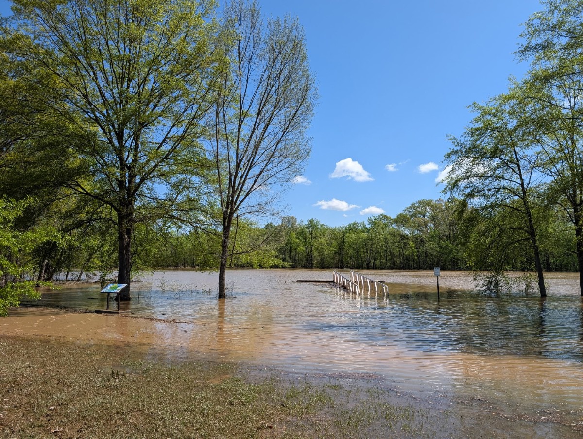 DailyMemphian's tweet card. On today’s episode: Why geography, soil and water systems mean a tragedy like what happened in Texas is unlikely to happen in Memphis, even though flooding is an issue. 