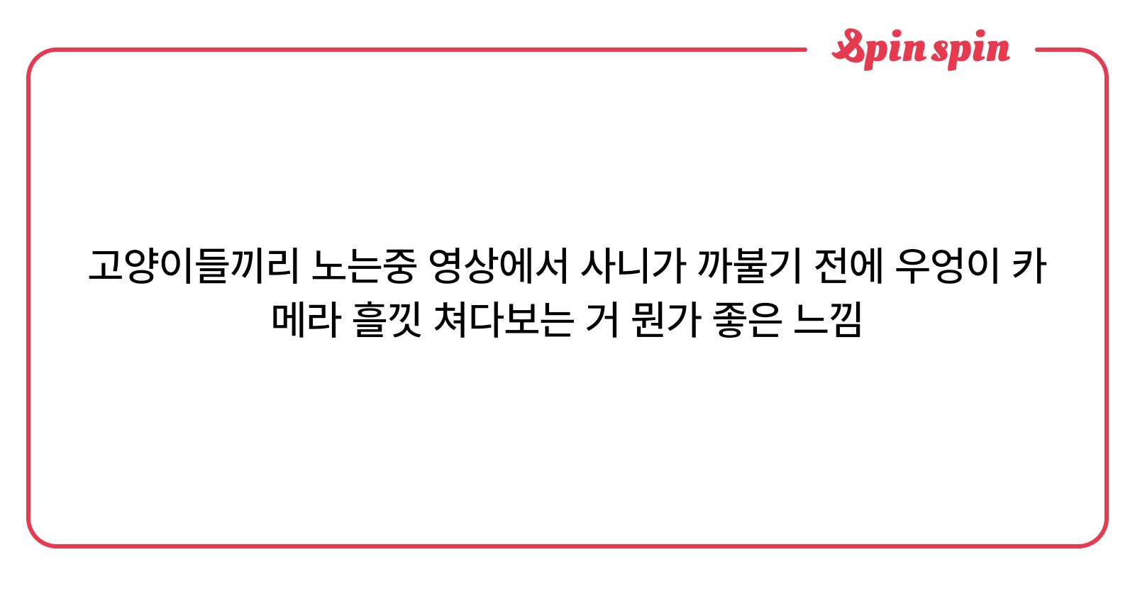 blossomminusb's tweet card. 💌