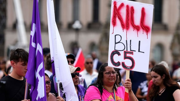 alespassafiume's tweet card. Nine First Nations in Ontario are asking a court for an injunction that would prevent the federal and provincial governments from moving forward with some of the most contentious aspects of recent...
