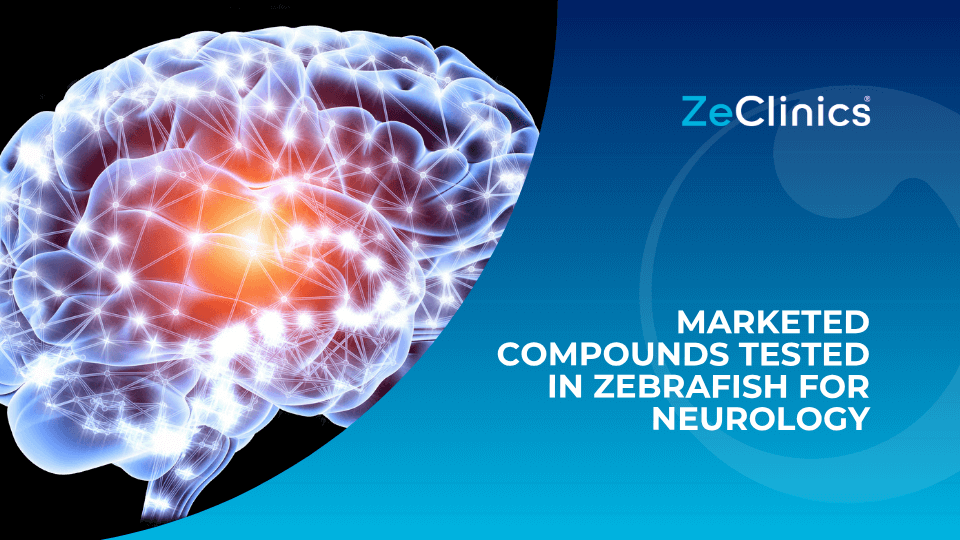 BarabanLab's tweet card. Zebrafish in neurological drug discovery accelerates the validation of marketed compounds like clemizole, advancing treatments with proven clinical efficacy.