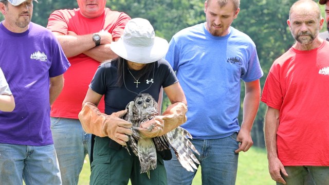 WBOY12News's tweet card. In your average day-to-day life, it’s pretty rare to see an owl in the wild, especially during the day, but one logger in West Virginia didn’t just get to see one, he had the chance to save it.