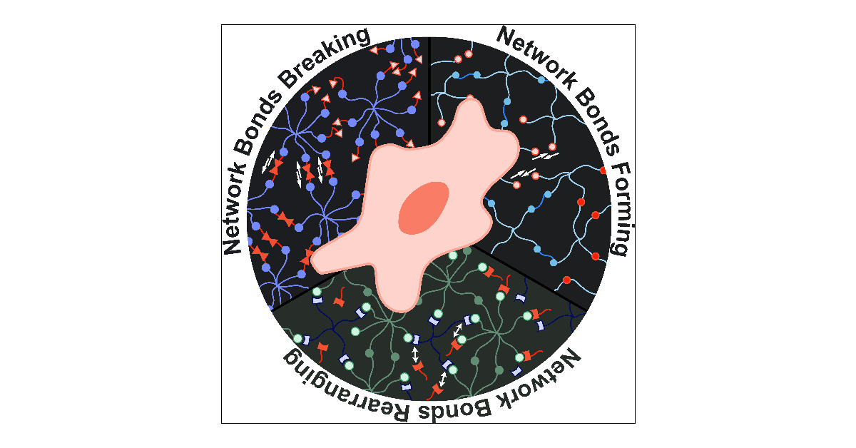 AnsethGroup's tweet card. ConspectusSynthetic extracellular matrix (ECM) engineering is a highly interdisciplinary field integrating materials and polymer science and engineering, chemistry, cell biology, and medicine to...