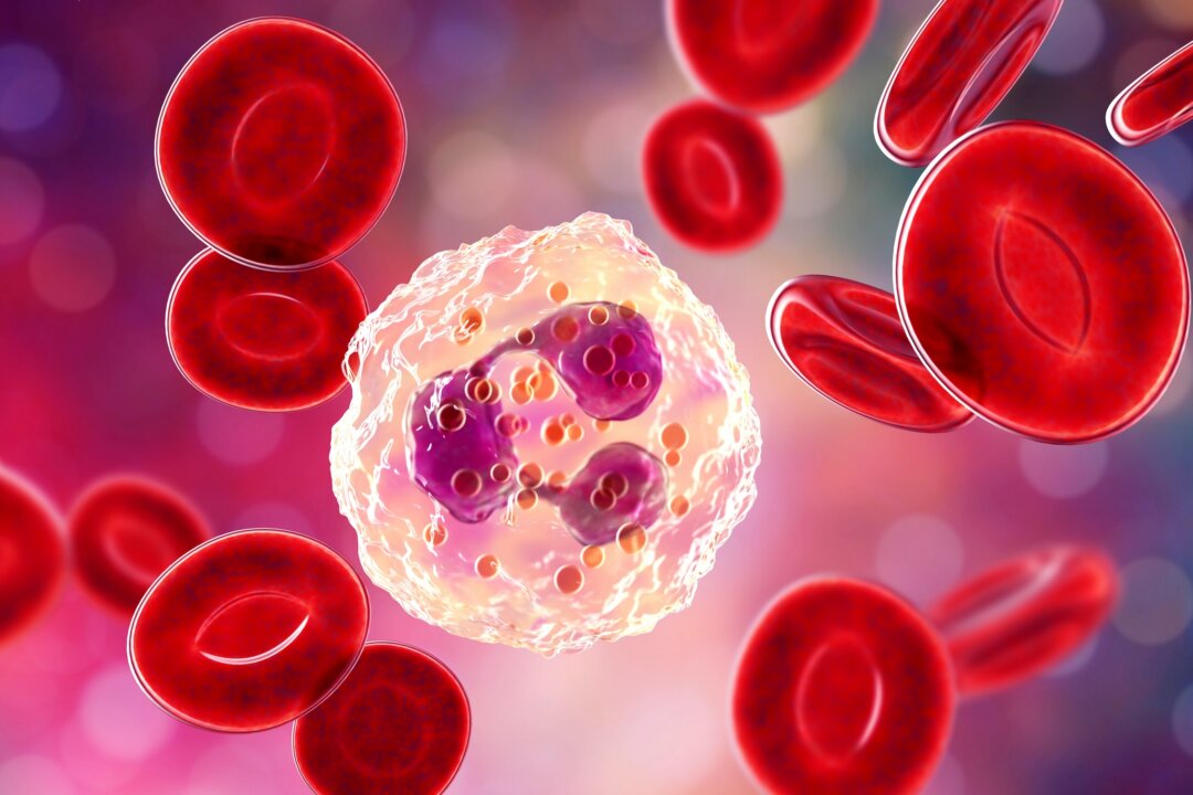 tr6_guy's tweet card. Recent research shows that chemotherapy can leave behind changes in healthy cells that may affect a person’s health years after treatment.