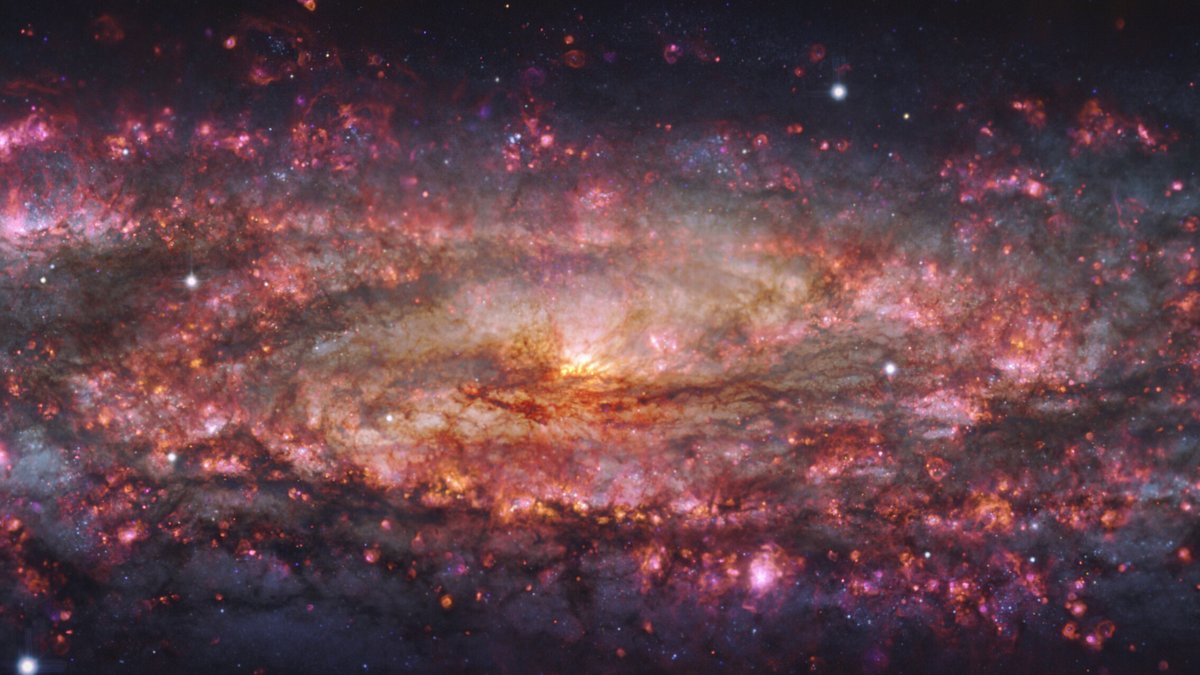 OhioStateERIK's tweet card. "The Sculptor Galaxy is in a sweet spot. It is close enough that we can resolve its internal structure, but at the same time big enough that we can still see it as a whole system."