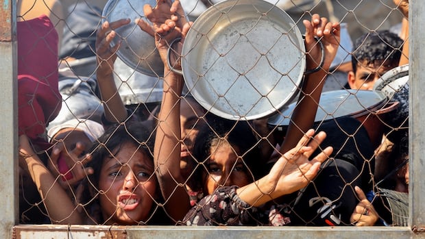 rjblognews's tweet card. More than 100 largely aid and rights groups on Wednesday called for governments to take action as hunger spreads in Gaza, including by demanding an immediate