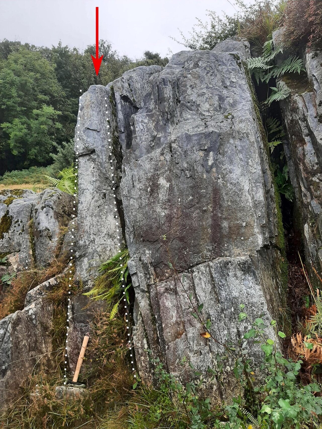 physorg_com's tweet card. Aberystwyth University-led research has shared new findings clarifying that the enigmatic "Newall boulder" from Stonehenge was transported by Neolithic people, not by glacial transport, from Craig...