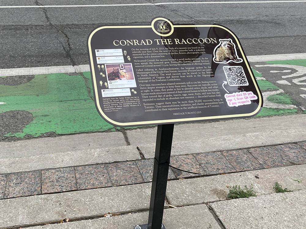 RobertW12470704's tweet card. Dead Toronto raccoon whose sidewalk memorial went viral in 2015 immortalized with heritage plaque