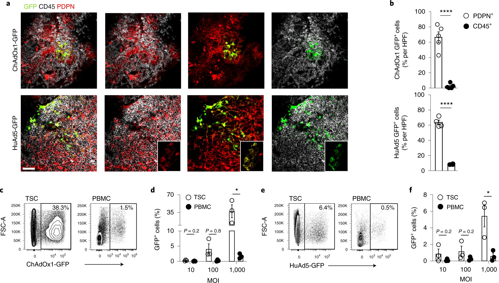 JCupovic's tweet card. Nature Immunology - Ludewig and colleagues show that adenovirus immunization fosters the formation of pulmonary immune-stimulating niches underpinned by fibroblastic stromal cells that maintain...