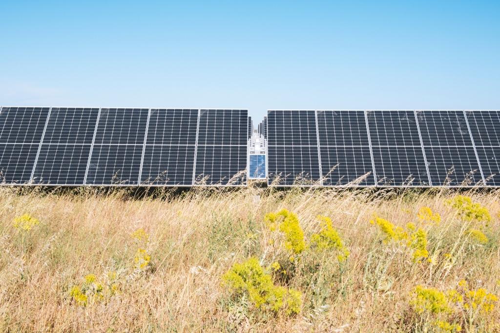Greenreport_it's tweet card. Per la prima volta da oltre un decennio, l’espansione dell’energia solare nell’Unione europea sta registrando un calo su base annuale. Secondo quanto riportato nell’analisi di metà anno di SolarPower