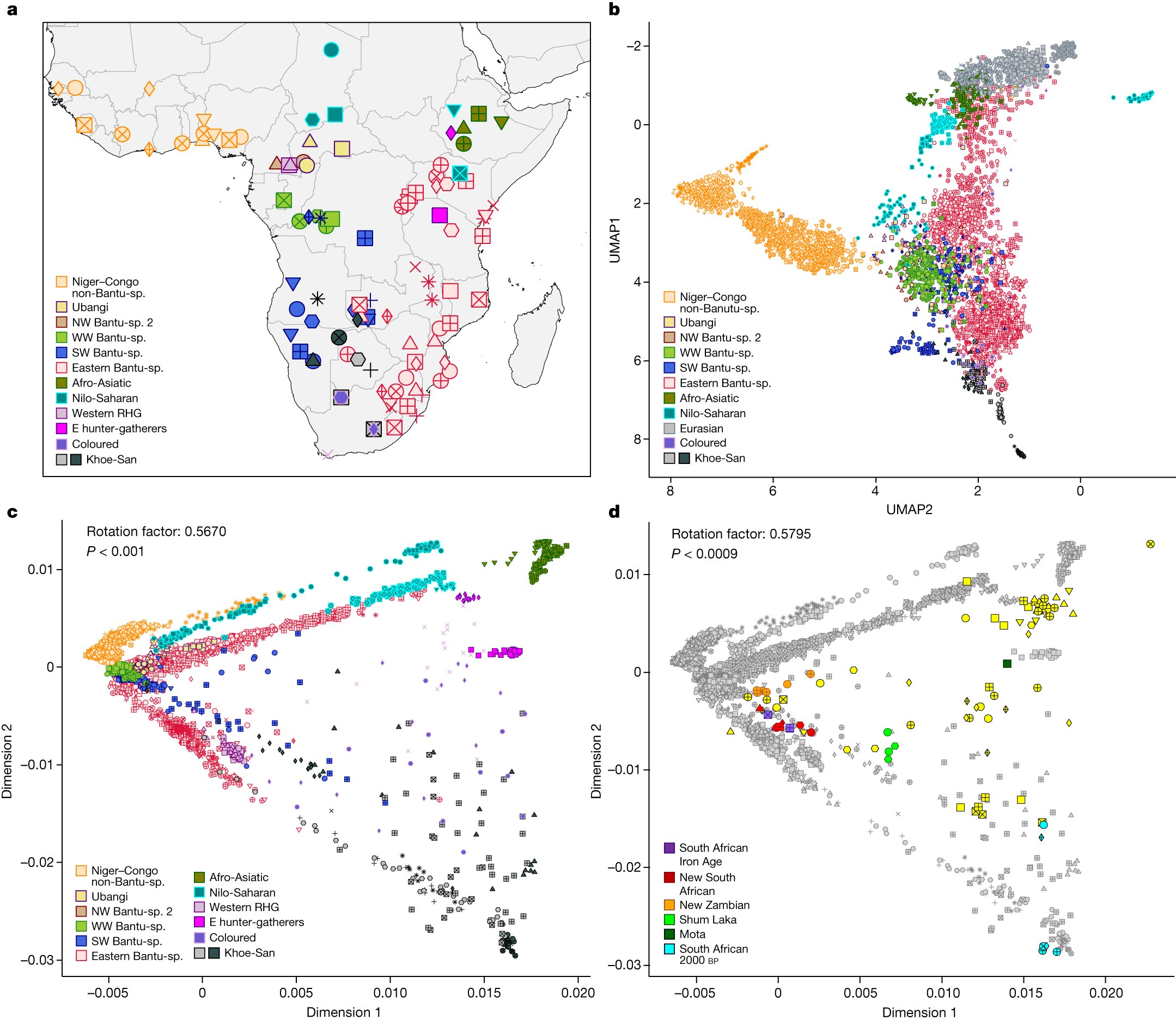 CesarFortesLima's tweet card. Nature - We gathered genetic data for 1,763 individuals from 147 populations across 14 African countries, and 12 Late Iron Age individuals, to trace the expansion of Bantu-speaking peoples over the...