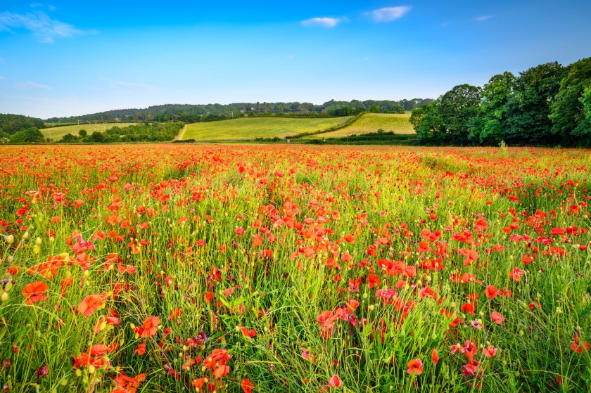 FarmingUK's tweet card. More than half of the £150m capital grants pot for England has already been snapped up, according to Defra, just weeks after applications reopened.