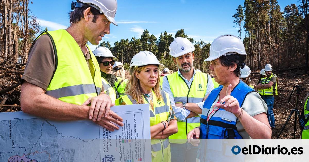 Cahora's tweet card. Se actuará sobre una superficie de unas 600 hectáreas, en las que se plantará medio millón de árboles