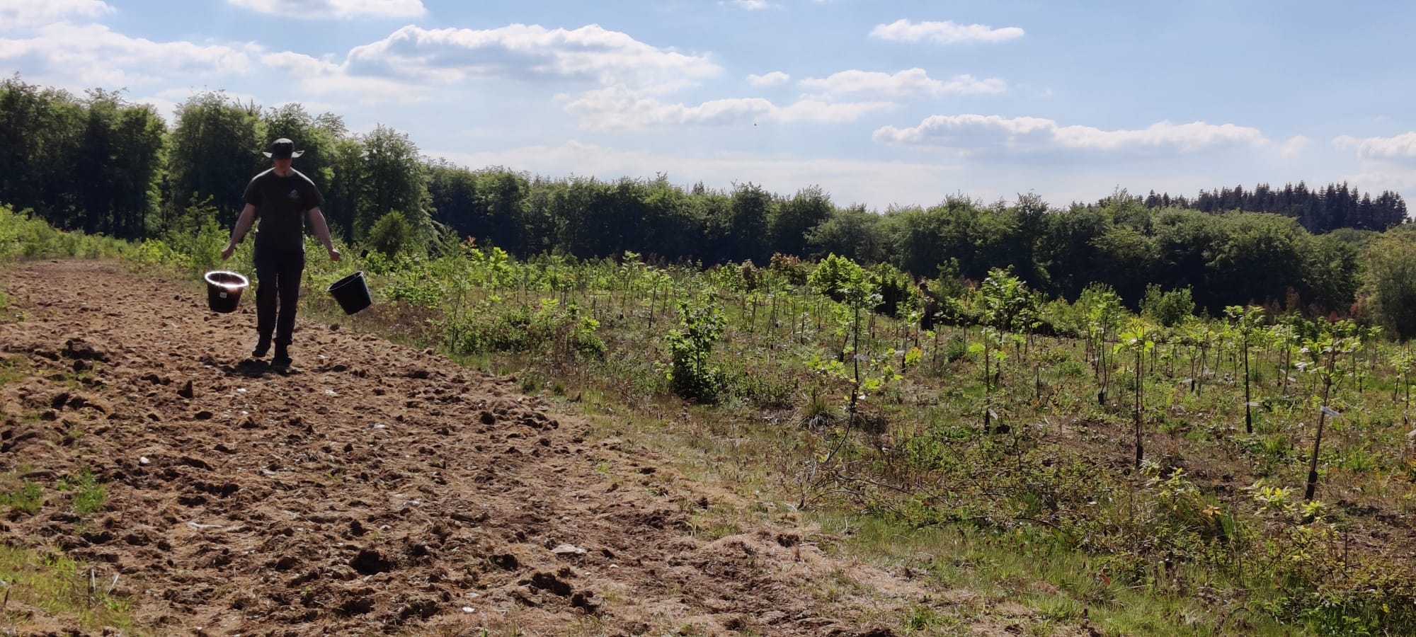 FutureTreesUK's tweet card. Blog: What I Learned in My First Season with Future Trees Trust