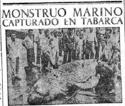 RAnomalas's tweet card. Los monstruos marinos han alimentado las leyendas de la isla de Tabarca, en Alicante