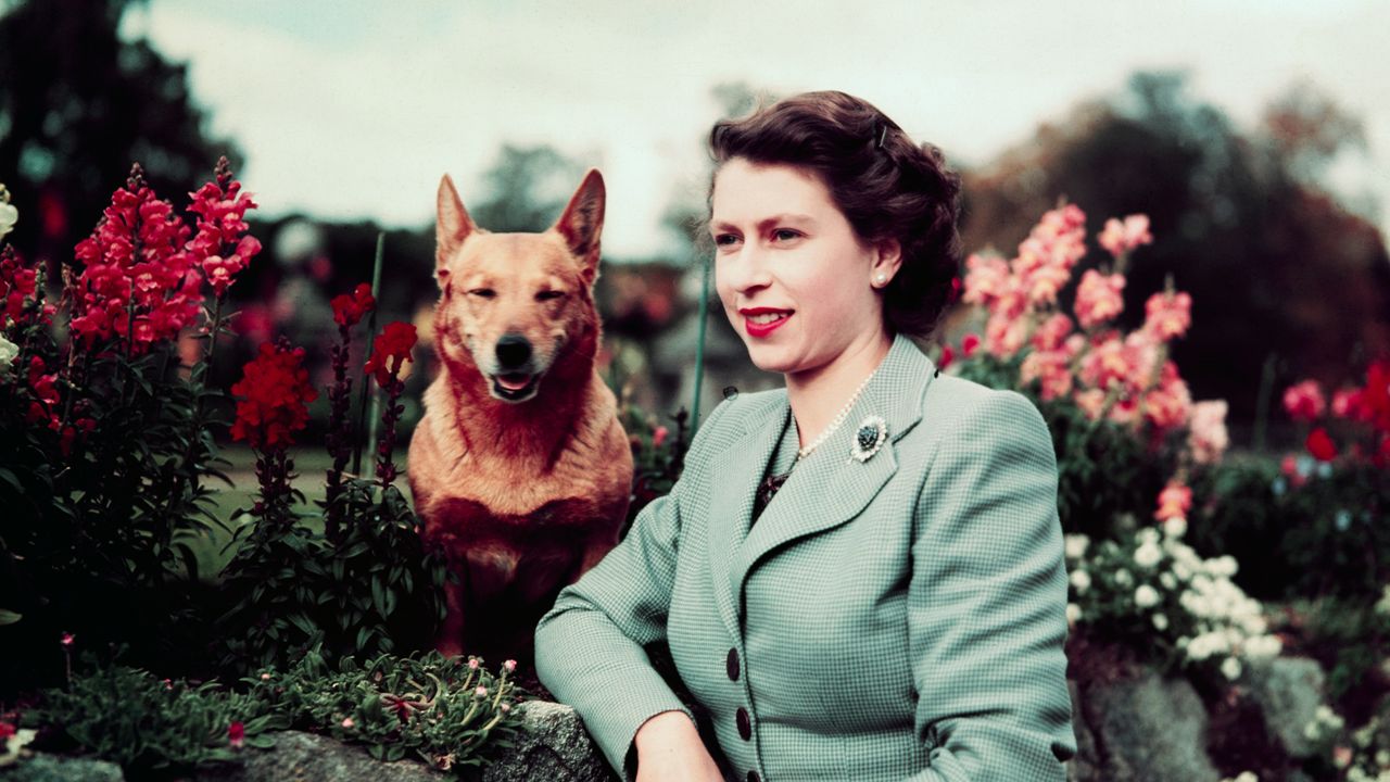 VanityFair's tweet card. To mark the centenary of her birth, Queen Elizabeth II will be honored in an exhibition that traces her life through her clothes.