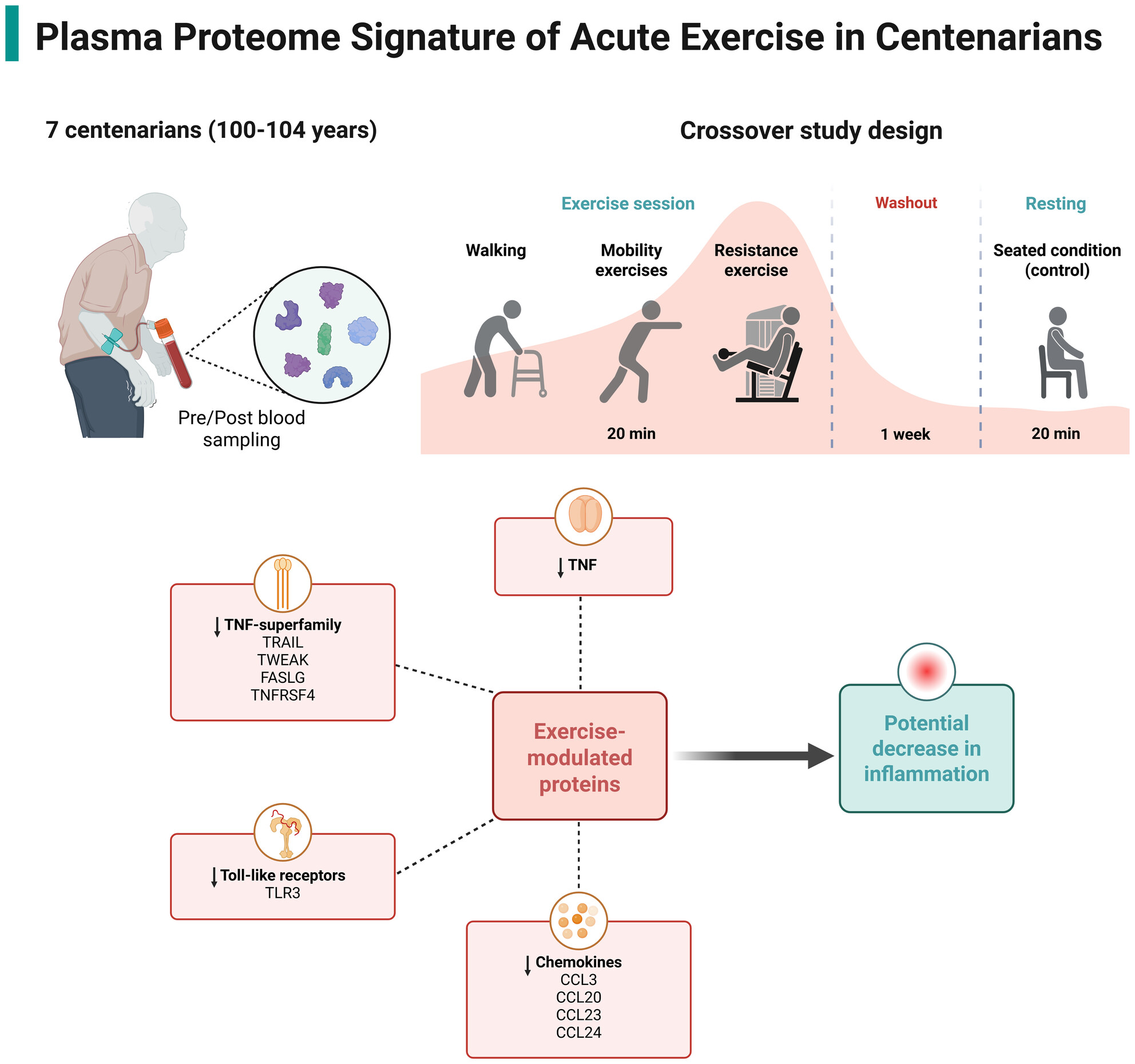 mike_lustgarten's tweet card. Targeted-proteome analysis suggests that a single acute exercise session may attenuate inflammation at the end of the human lifespan.
