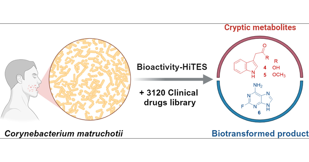 ChungSubKim's tweet card. In the field of natural product research, the rediscovery of already-known compounds is one of the significant issues hindering new drug development. Recently, an innovative approach called bioacti...