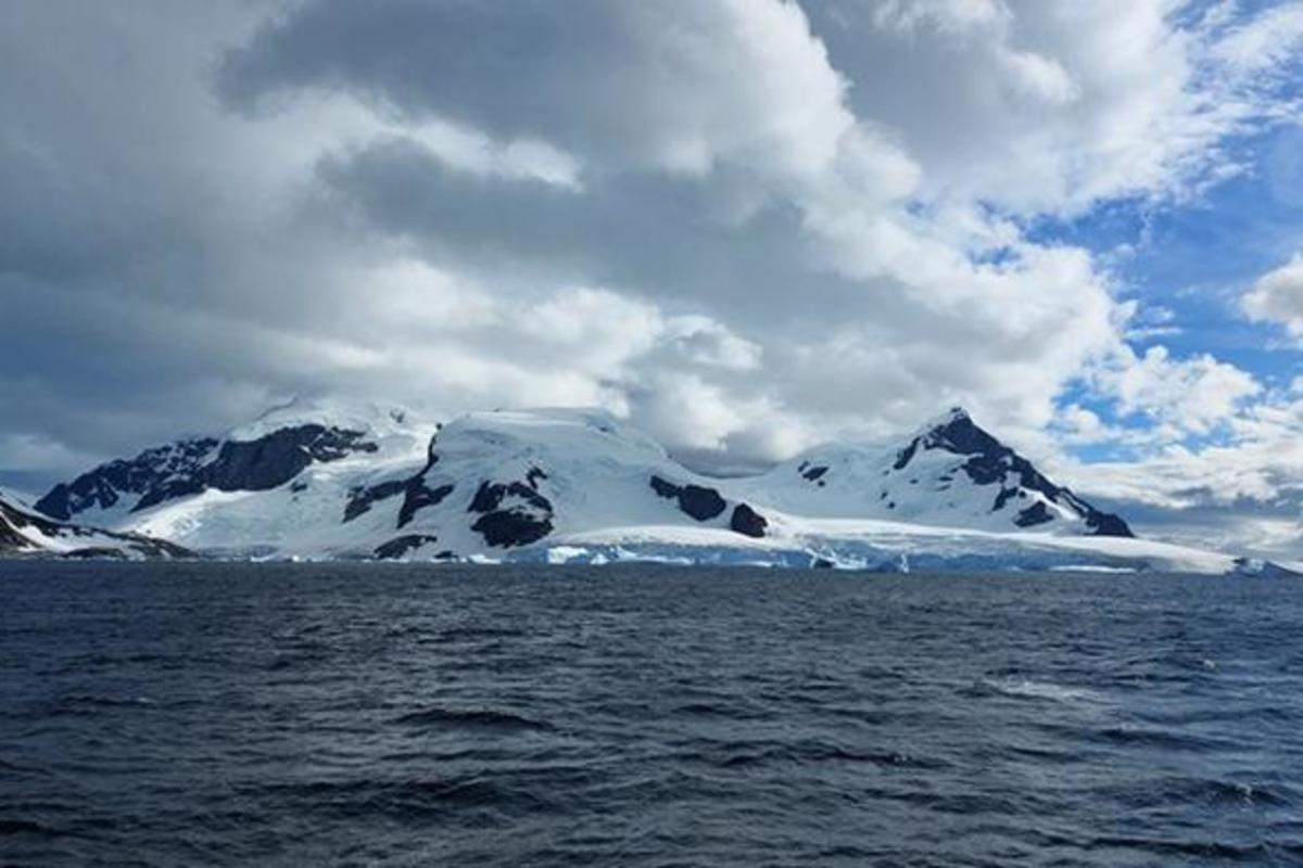 DiscoverMag's tweet card. Learn about Antarctica’s hidden submarine canyons and how they play an important role in global climate.