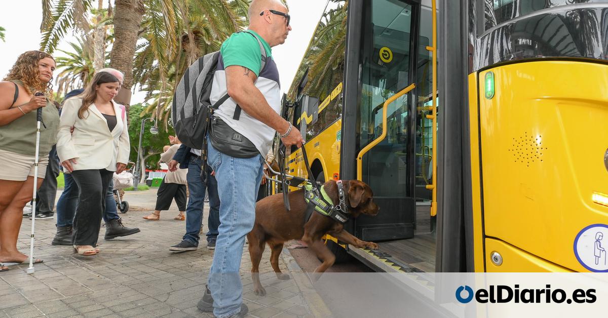 Cahora's tweet card. Para su acceso, el can deberá disponer del distintivo oficial que lo acredite; una identificación oficial que portará el animal en el arnés, peto o collar y que incorpora información básica como su...