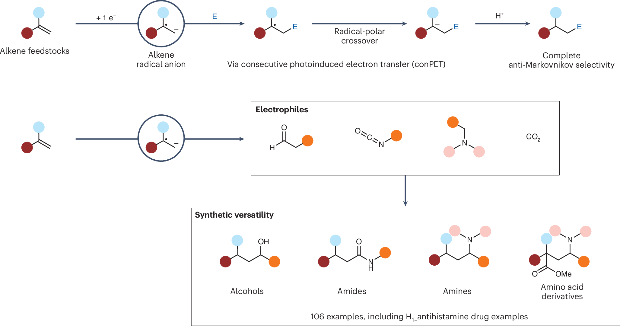 PolyzosAP's tweet card. Nature Catalysis - A catalytic, metal-free method for generating carbanion equivalents has been developed, providing a modern alternative to classical Grignard addition reactions. This approach...