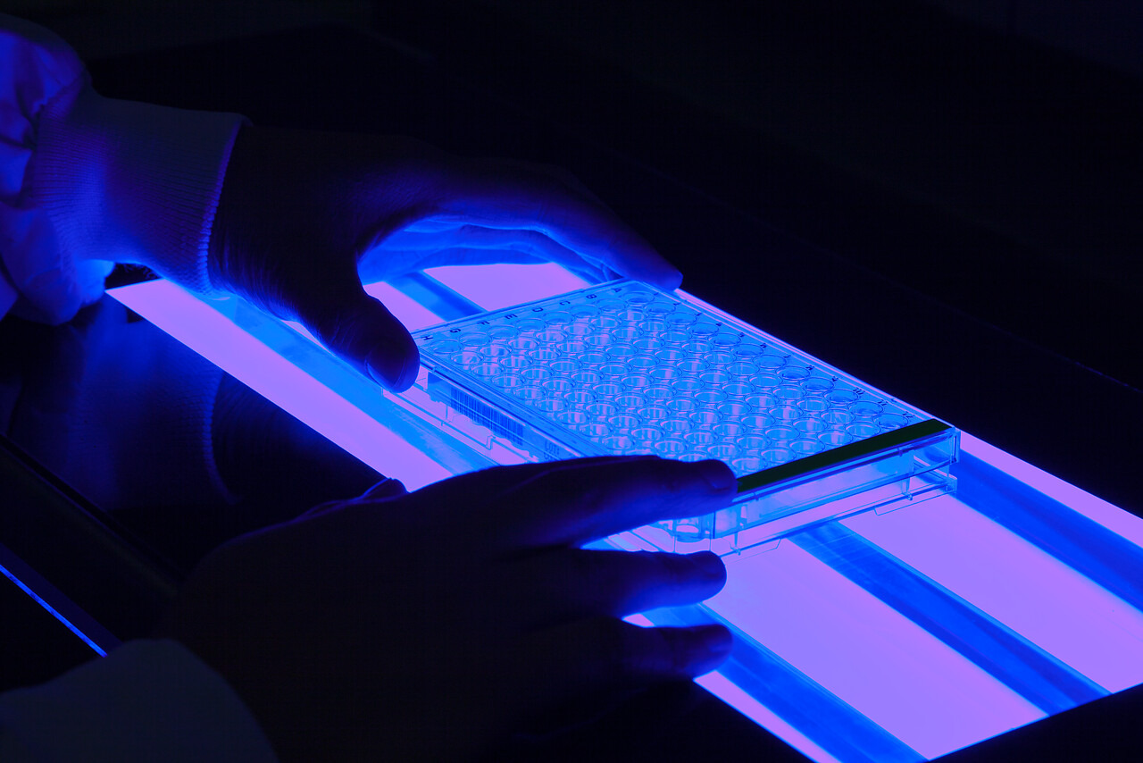 ciaranscotthill's tweet card. We are seeking a highly motivated PhD student to join the Applied Brain Cancer Biology Laboratory, led by Dr Ciaran Hill. The funding covers UK tuition fees plus an annual stipend of £23,000 per year.