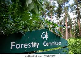 tv3_ghana's tweet card. The Forestry Commission has responded to media reports alleging some kind of harassment of members of the Sokoban Wood sellers by its officials. The Commission