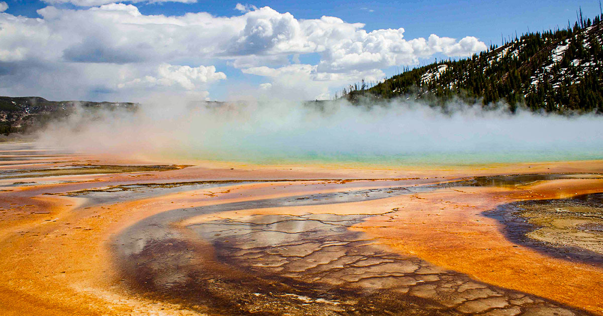 QuantaMagazine's tweet card. In a hot spring at Yellowstone National Park, a microbe does something that life shouldn’t be able to do: It breathes oxygen and sulfur at the same time.