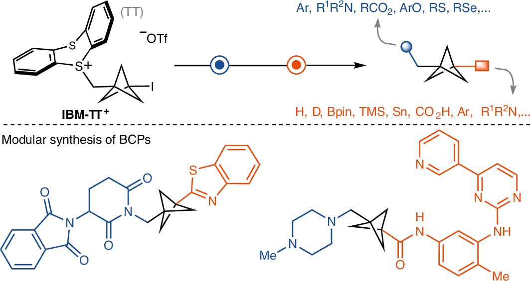 NatureSynthesis's tweet card. Nature Synthesis - The lack of stable and versatile bicyclo[1.1.1]pentyl reagents hinders their broader adoption as aryl bioisosteres in drug discovery. Now, a stable, bifunctional...