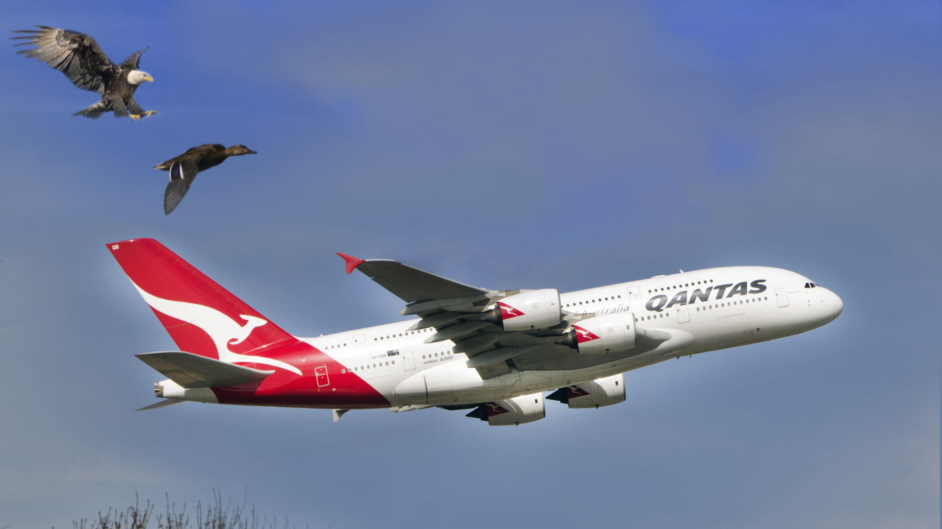 StudioIT_DG's tweet card. L’attacco a Qantas Airways ha compromesso i dati di 5,7 milioni di clienti. L’origine dell’incidente sarebbe da ricondurre a un partner commerciale della compagnia aerea. Cosa vuole dire e come...