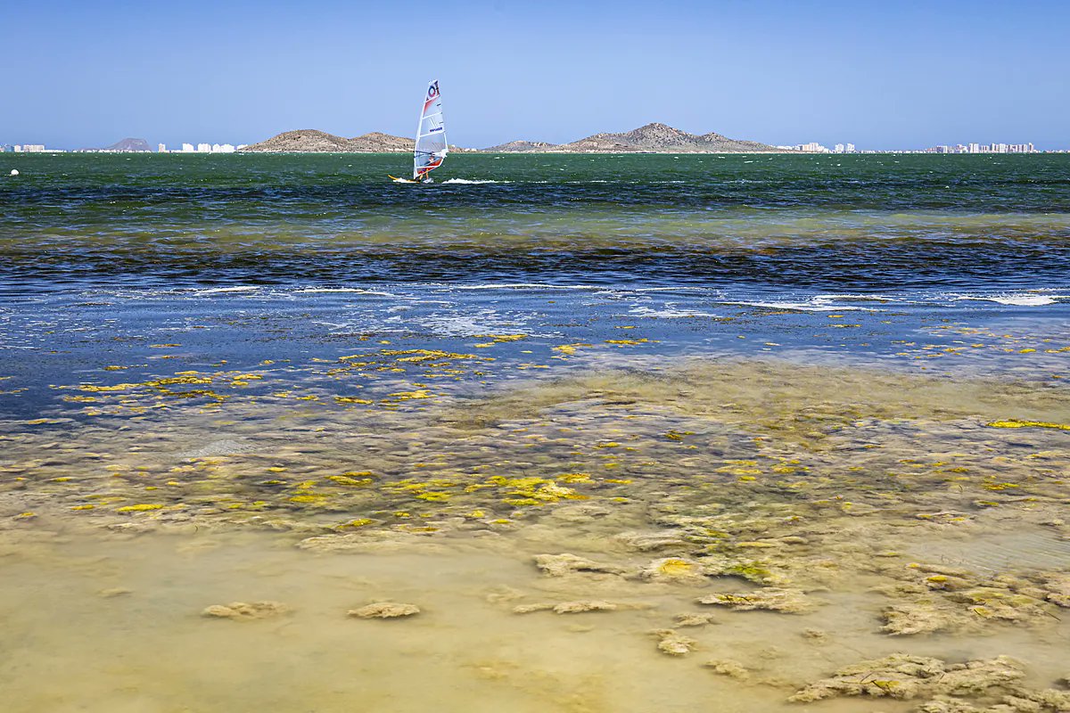 MulleresSalgada's tweet card. El Mar Menor sigue con su agonía. Esta albufera del mar Mediterráneo, situada en la Región de Murcia, lucha desde hace muhos años por poder seguir albergando vida y ahora, tras...