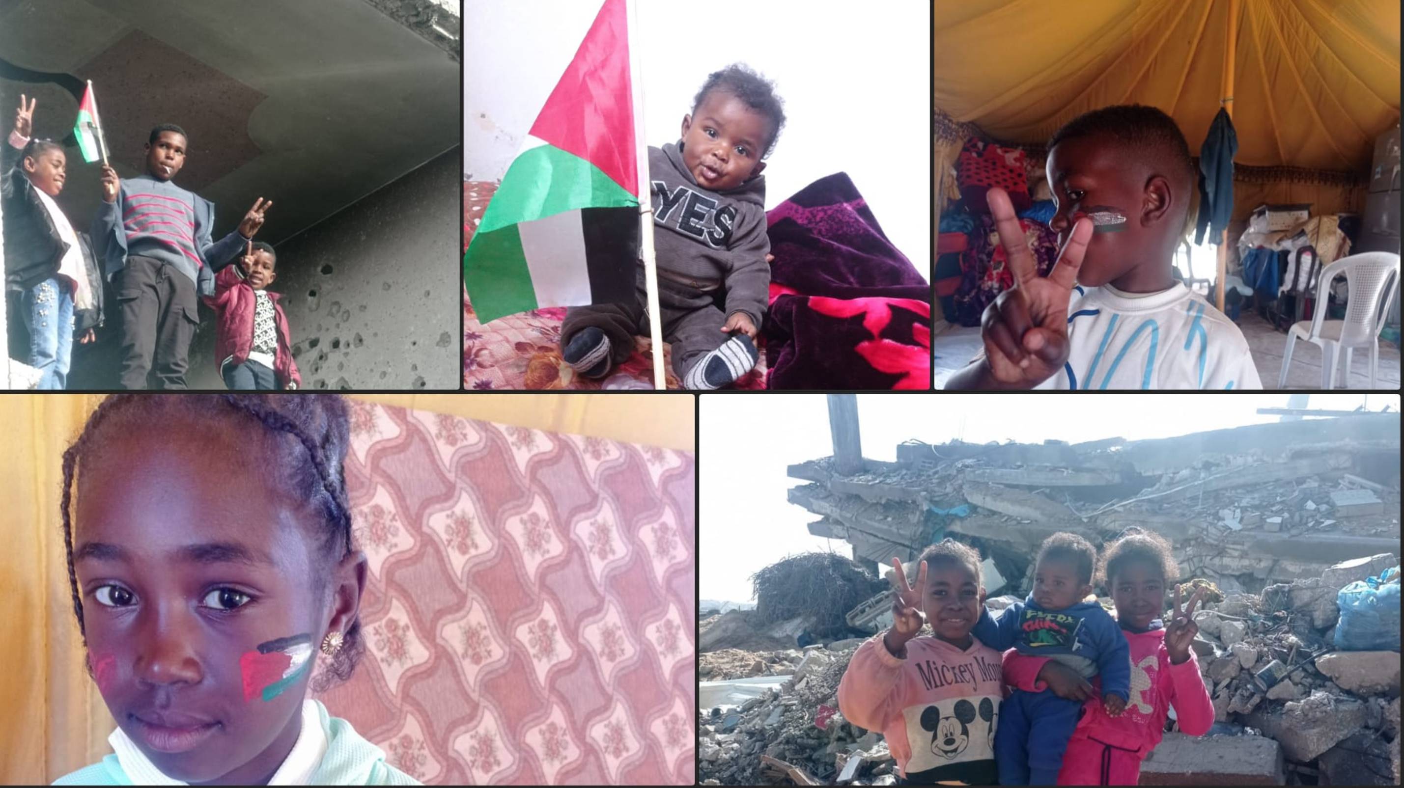 AbdelFattah1312's tweet card. My name is Victoria. I am a good friend of Abdel's.  Families in Gaza need foreign bank accounts to run their campaigns, but for many, this is not possible, so friends and family in countries deemed...